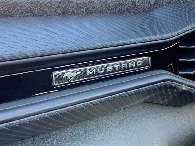 2025 Ford Mustang EcoBoost Fastback