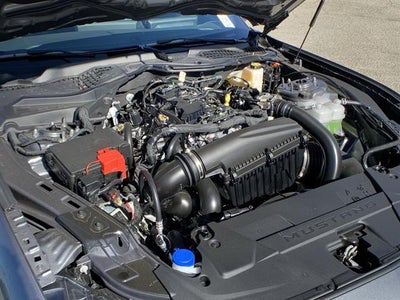 2025 Ford Mustang EcoBoost Fastback