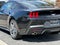 2026 Ford Mustang EcoBoost Fastback