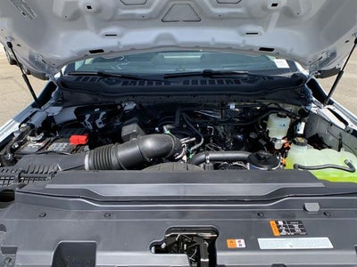 2025 Ford Super Duty F-350 SRW XL 2WD Reg Cab 145" WB 60" CA