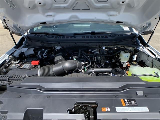 2025 Ford Super Duty F-350 SRW XL 2WD Reg Cab 145" WB 60" CA