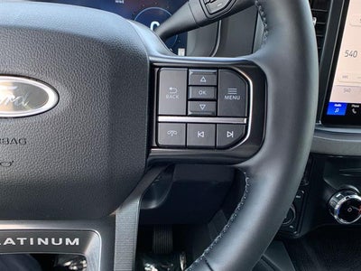 2025 Ford Super Duty F-250 SRW Platinum 4WD Crew Cab 6.75' Box