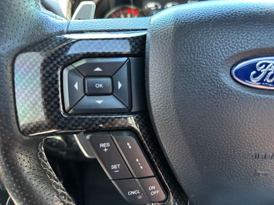2019 Ford F-150 Raptor SHELBY
