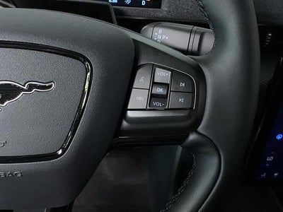 2025 Ford Mustang Mach-E Premium RWD