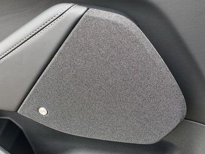 2025 Ford Mustang Mach-E Premium RWD