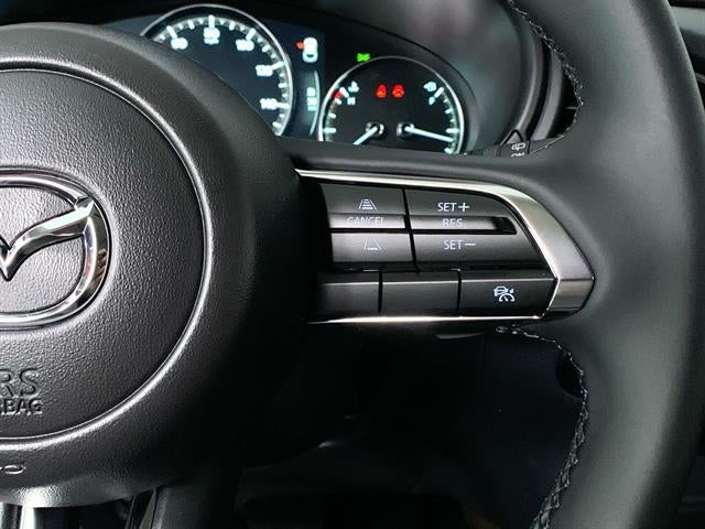 2025 Mazda Mazda CX-30 2.5 S Premium AWD